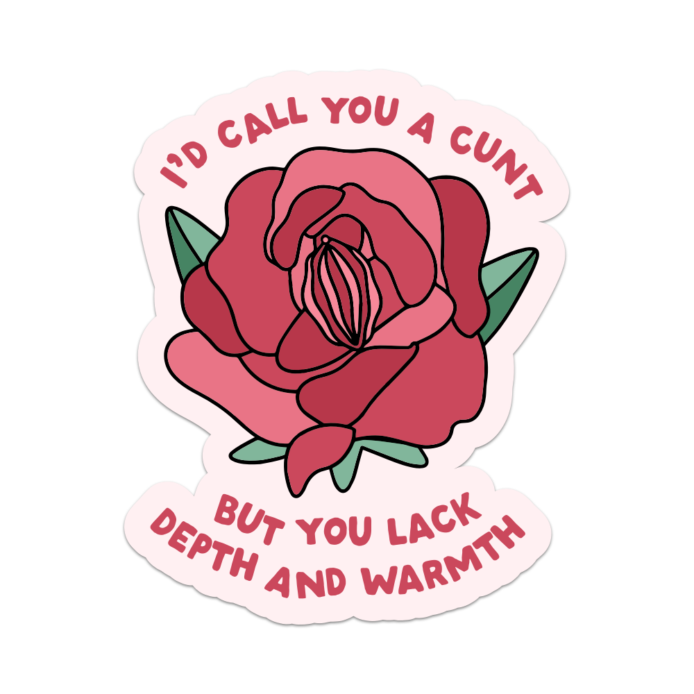 I'd Call You a Cunt But You Lack Depth Vinyl Sticker