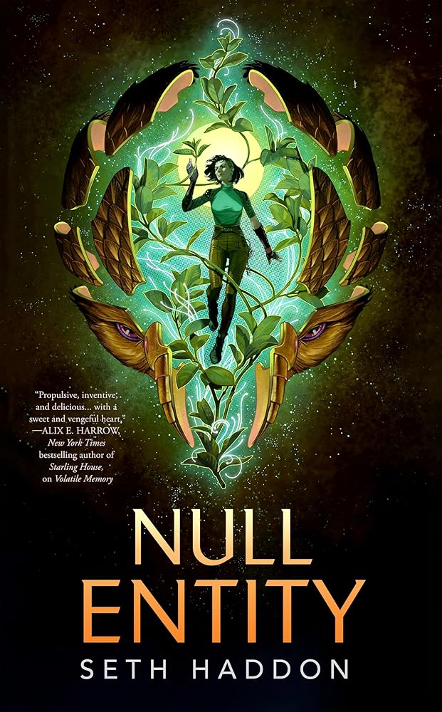 Null Entity (The Volatile Memory Duology, 2) cover image