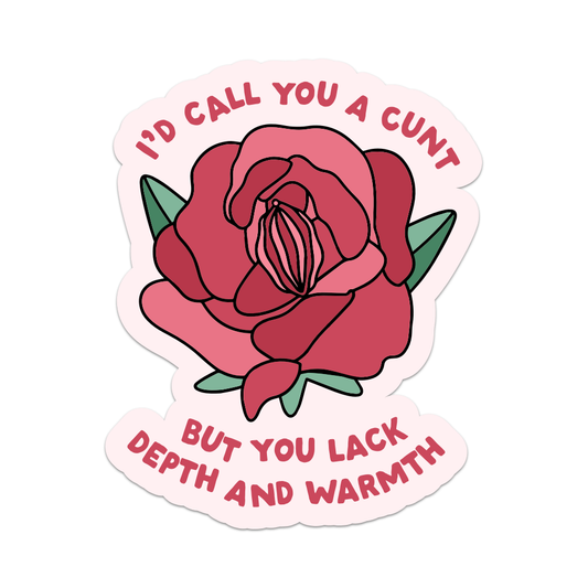 I'd Call You a Cunt But You Lack Depth Vinyl Sticker
