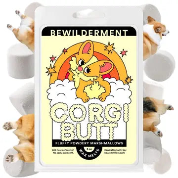 Wax Melts