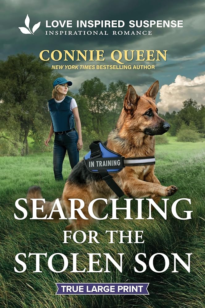 Searching for the Stolen Son cover image