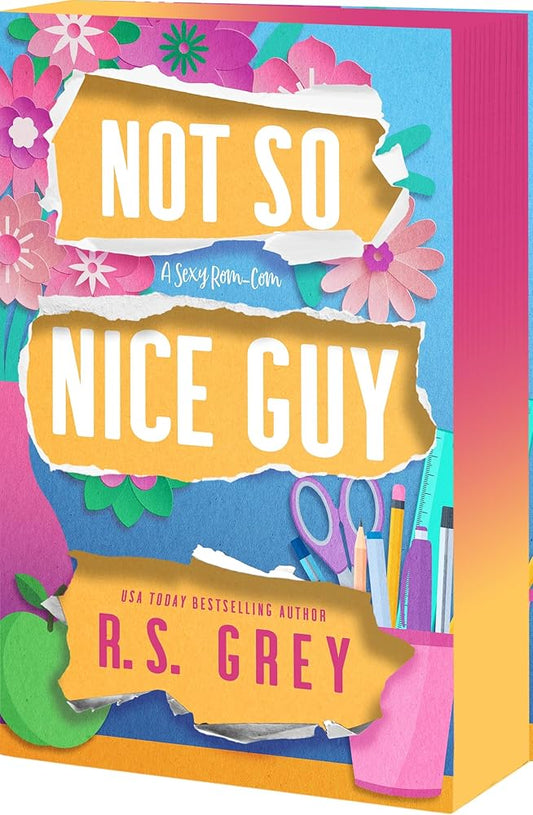 Not So Nice Guy cover image