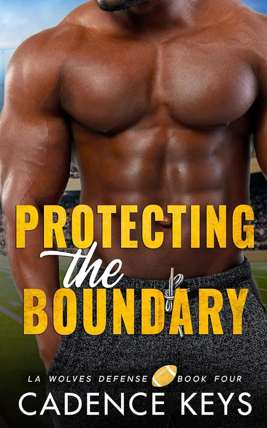 Protecting the Boundary: A Single Dad Football Romance (LA Wolves Defense) cover image