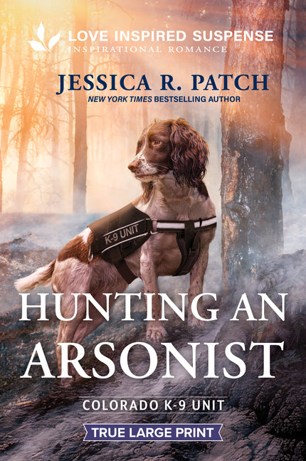 Hunting an Arsonist (Original)