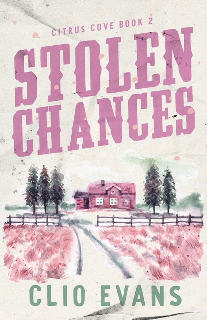 Stolen Chances: A Single Mom, MMF, Small Town Romance Suspense