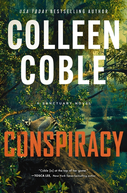 Conspiracy: A Small-Town, Second-Chance Romantic Suspense