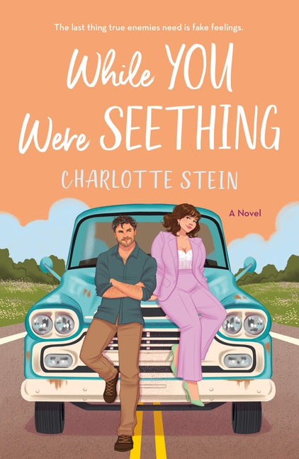While You Were Seething