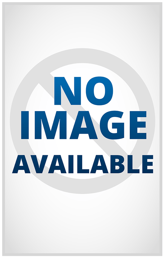 The Housemaid's Secret
