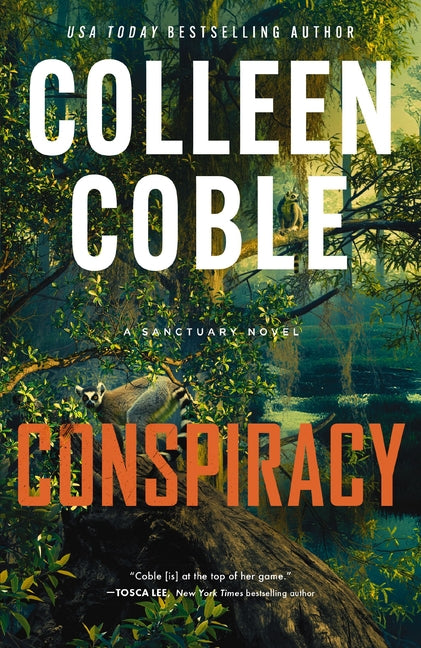 Conspiracy: A Small-Town, Second-Chance Romantic Suspense